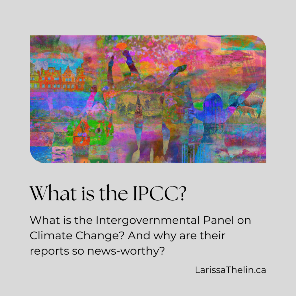 What is the&nbsp;IPCC?