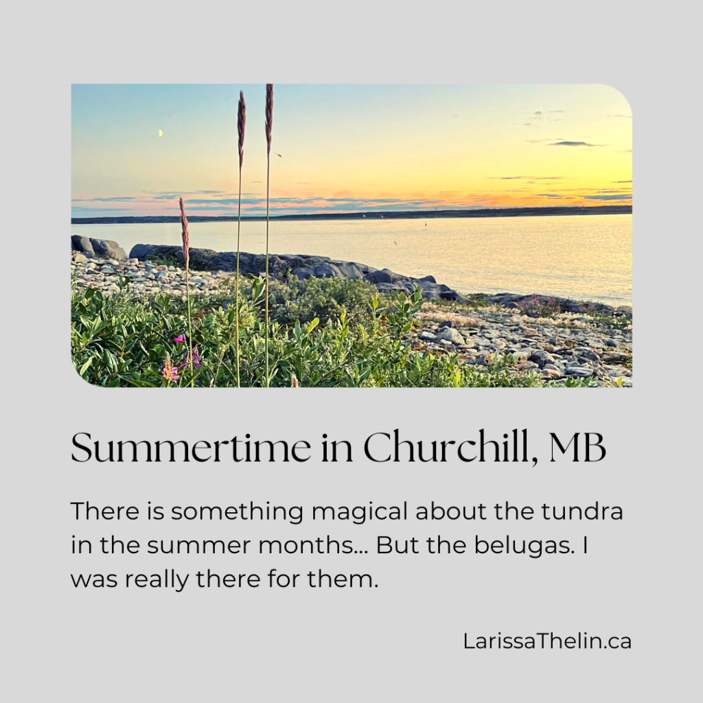 Summertime in Churchill, MB