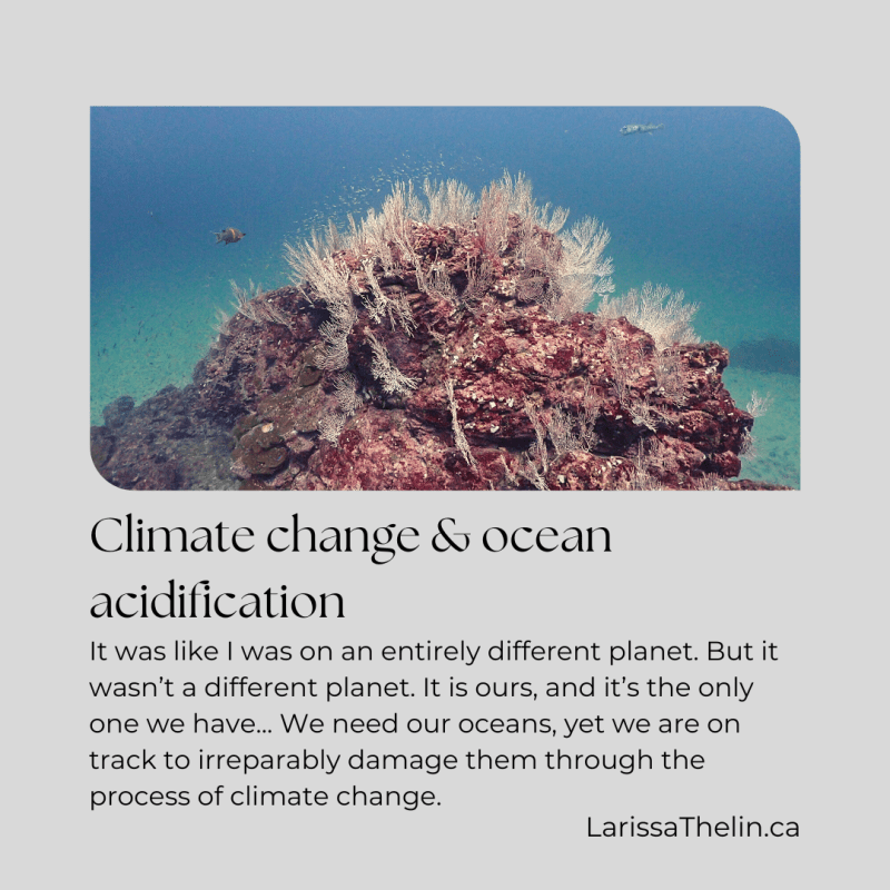 Climate change and ocean&nbsp;acidification