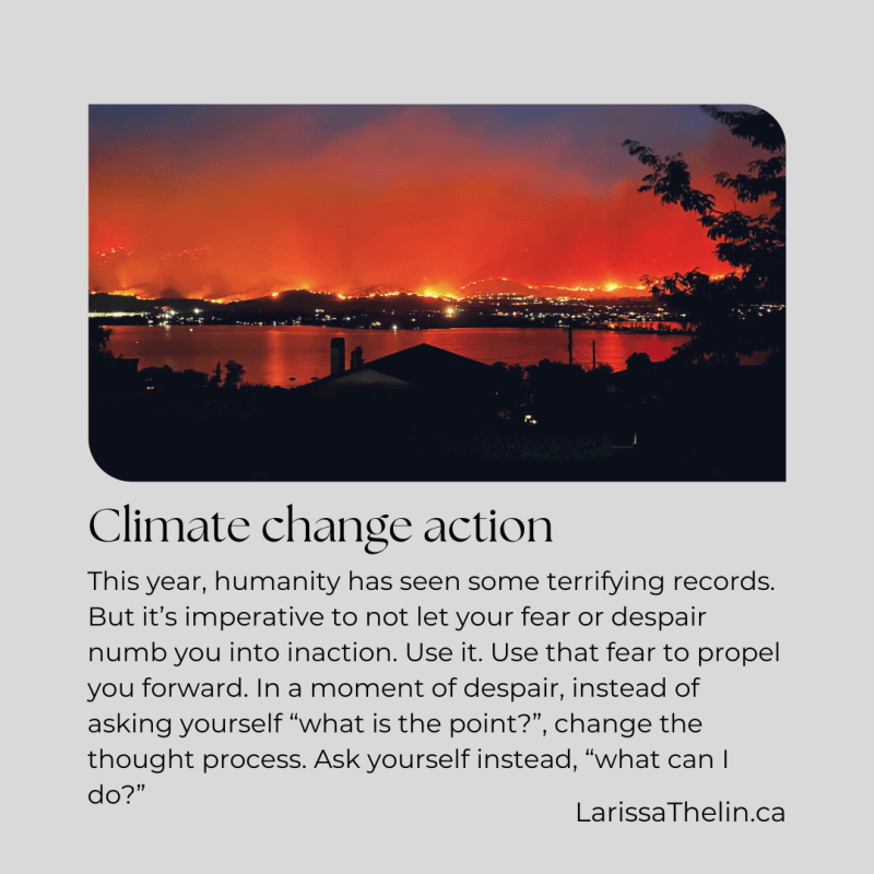 Climate change action
